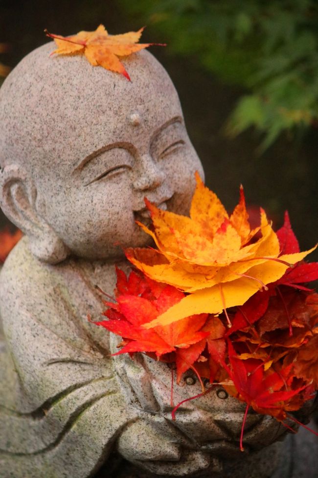 　なぜか茨城県に観光するのが初めてで、茨城県でやっと全国全ての都道府県に足を踏み入れることができました。<br /><br />○　旧上岡小<br /><br />　明治時代に建てられた木造の小学校校舎。校舎は、昭和初期の建築。明治12年4月20日に創立され平成13年3月31日に廃校されましたが、現在はロケ地として以外にも地域住民の陶芸や絵画教室等にも活用されています。窓ガラスは全部昔のガラスで、学校の備品もそのまま残されており。当時の雰囲気をそのまま味わえます。<br />　NHK朝の連続テレビ小説「花子とアン」「おひさま」のロケに使われました。<br />　<br />○　永源寺　<br />　<br />　通称もみじ寺と呼ばれる永源寺。その名の通り、シーズンともなれば境内を埋め尽くす赤や黄色のもみじが素晴らしい景色を作り出してくれます。大子七福神の紅一点、弁財天をまつるお寺で、高台にあるため、境内からは大子町を一望することができます。<br /><br /><br />行　程<br /><br />１１月１５日<br /><br />関空　⇒　成田空港　⇒　歩崎観音　⇒　月待ちの滝　⇒　旧上岡小　⇒　<br />永源寺　⇒　悠久の宿 滝美館<br /><br />１１月１６日<br /><br />袋田の滝　⇒　竜神峡　⇒　花貫渓谷　⇒　碁石浦　⇒　成田空港　⇒　関空<br /><br /><br /><br /><br /><br /><br /><br /><br /><br />　