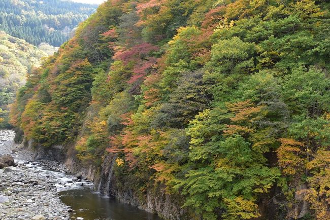 秋山郷は新潟県津南町と長野県栄村にまたがる山深い地域の総称で、野反湖（群馬）を源とする中津川に沿った長野県５集落と新潟県８集落があります。<br /><br />今日は新潟県の逆巻（さかさまき）から中津川を遡り清水川原・結東（けっとう）・前倉の集落と、長野県の小赤沢（こあかさわ）・屋敷・和山（わやま）・切明（きりあけ）の集落を訪れます。<br /><br />見どころは、清水川原の屏風岩（二段重ねの絶壁）、結東の石垣田と見倉橋、前倉の紅葉、屋敷の布岩（柱状節理）、小赤沢の保存民家と巨木、切明の川原にある温泉と紅葉等です。<br /><br />今晩の宿は秋山郷の一番奥にある秘湯の宿「切明温泉 雪あかり」。この宿で山の幸と紅葉を眺めながら露天風呂を楽しみます。<br />