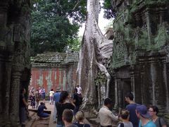ジャングルの廃墟　：　タ・プロ―ム・シュリムアップ・カンボジア 