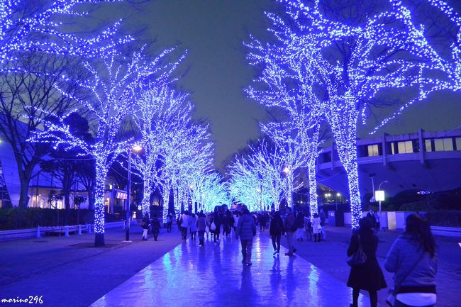 この日は、写真同好の先輩３人と今年最後となる忘年会です。<br />忘年会の前に、青の洞窟ＳＨＩＢＵＹＡを楽しむことにしましたが、集合時間前にちょっと寄り道して、赤坂エリアにも行ってみました。<br /><br />クリスマスも過ぎてイルミネーションも終わっているところが多いですが、まだ、年末年始にも楽しめるところもありますので、ご参考までに。<br /><br />（ひとつ前の旅行記で今年は終わるつもりでしたが、おまけでＵＰさせていただきます。）