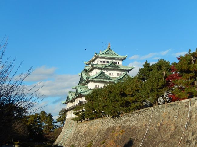 12月の休みを利用して新幹線で名古屋へ。<br />そして名古屋市内のホテルで一泊して翌日伊勢神宮に向かいました。<br /><br />名古屋に宿泊するのは初めてでしたのでホテルは立地優先でヒルトン名古屋に決定。一泊だけでしたので部屋はラウンジが利用出来るエグゼクティブルームにしました。<br /><br />市内観光は名古屋城を一択であとは栄を街歩き、夜は世界の山ちゃんで手羽先を頂きました。<br />あと名古屋で特筆すべきはタクシーの運転手さんがとても丁寧なことです。乗車時にメーターをスタートさせる場合も断りをいれます。これは個人的には初めての体験でした。今後もぜひ続けてほしいですね。