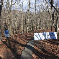 青春18切符一人旅　兵庫県　峰山高原　「ノルウエイの森」のロケ地で森を散歩してみた