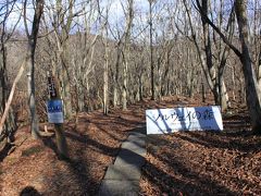 青春18切符一人旅　兵庫県　峰山高原　「ノルウエイの森」のロケ地で森を散歩してみた