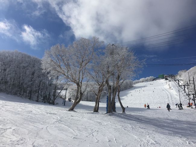 今年で３年目、年末に蔵王にスキーへ行ってきました。<br />昨年は雪不足でしたが今年も雪不足でした。<br />１年目の蔵王が大変ラッキーだったのだと思い知らされます＾＾；<br /><br />仕事が忙しくて早めに冬休みが取れず、年末に近い日になり宿泊代が高騰。<br />お安いところに落ち着きましたが、ちょっとテンションは低め。<br />準備は6月から開始。