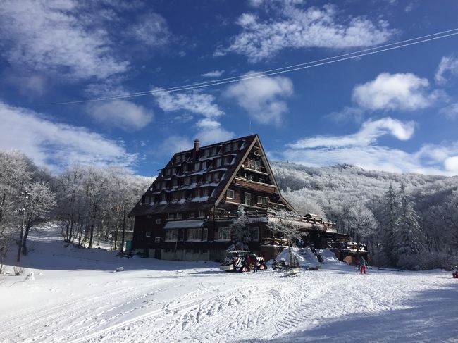 今年で３年目、年末に蔵王にスキーへ行ってきました。<br />昨年は雪不足でしたが今年も雪不足でした。<br />１年目の蔵王が大変ラッキーだったのだと思い知らされます＾＾；<br /><br />仕事が忙しくて早めに冬休みが取れず、年末に近い日になり宿泊代が高騰。<br />お安いところに落ち着きましたが、ちょっとテンションは低め。<br />準備は6月から開始。