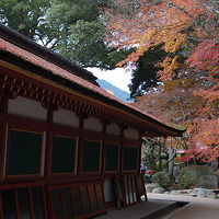 秋月散策と太宰府天満宮参拝　（2泊3日大分・福岡旅行3日目）