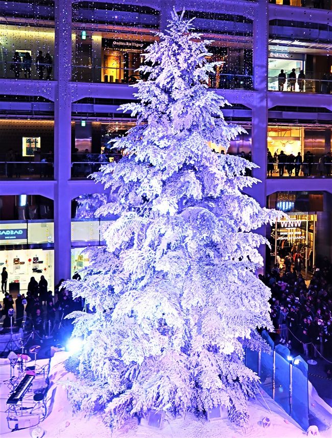 WHITE TREE ＫＩＴＴＥ ホワイトツリー ライトアップ「Precious Ver」<br />まるで雪が降り積もったかのように真っ白な、屋内では日本最大級となる高さ約14.5mのクリスマスツリーが1Fアトリウムに登場。<br />期間中は、情緒あふれる音楽とともに光の粒が天井から壁面を伝って、<br />雪が舞い散るように降り注ぐライトアッププログラム「Precious Ver.」を上映します。<br />AGC旭硝子の透明ガラススクリーン「Glascene&amp;reg;」を使ったオリジナルの<br />映像プログラム「AGC旭硝子 Presents &quot;Icy Glassy Christmas&quot;」を上映します。<br />開催期間2016年11月24日（木）～12月25日（日）<br />各時30分おきに各回合わせて約6分間実施.<br />（http://jptower-kitte.jp/white-kitte2016/　より引用）<br /><br />KITTE　　については・・<br />http://jptower-kitte.jp/about/index.html<br /><br />アトリウム(atrium)は、ガラスやアクリルパネルなど光を通す材質の屋根で覆われた大規模な空間のこと。内部公開空地ともいう。<br />ホテルや大規模商業施設、オフィスビル、マンションのエントランスに設けられる例が多い。<br />（フリー百科事典『ウィキペディア（Wikipedia）』より引用）<br />