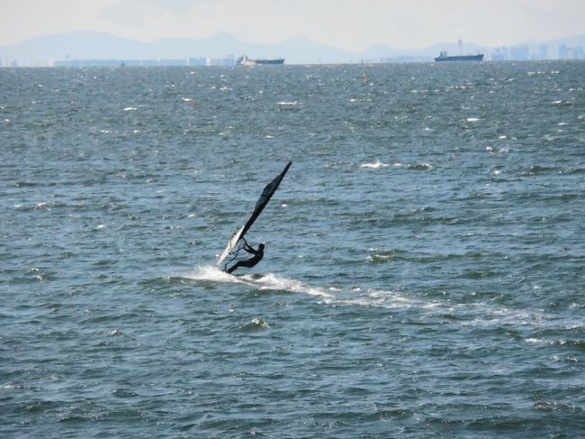 ちょっと寒いものの天気もいいので、久し振りに稲毛海浜公園をぶらぶらっと散歩しました。ここの公園がある場所は高度成長期までは海の中。もともと遠浅の海岸で、海苔や貝類の漁業が盛んした。また、春から夏にかけての潮干狩りや海水浴でにぎわっていました。その後東京圏の拡張と住宅供給を目的にその海岸は埋め立てられ住宅地に。その後再び東京湾沿いに稲毛海浜公園が整備され、海岸が復元されています。