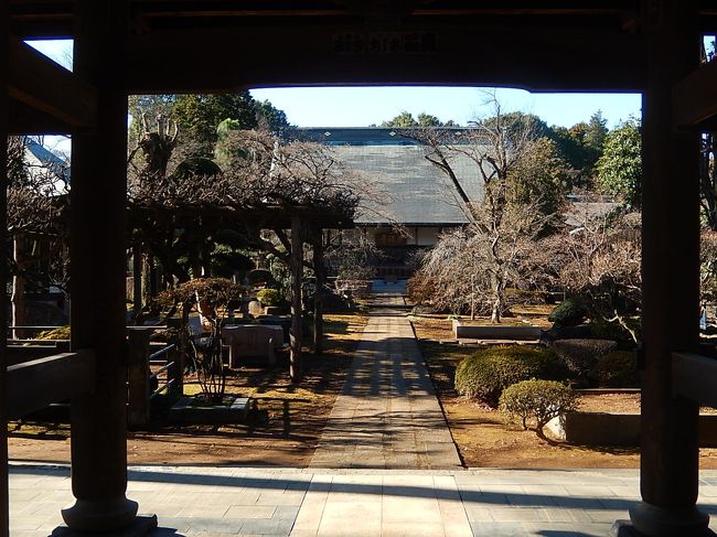 2017年の初詣に自宅から約5キロ離れている多福寺、木の宮地蔵堂、多聞院、神明社へサイクリングで行った。　このところの暖冬でとても気持ちの良い初詣になった。　まず、多福寺を訪問した。　正月で開かれている総門より入り、参道を歩いて山門(呑天閣)を通り、本堂へ行った。　　例年ならば、本堂の奥にある奥庭を見る予定でいたが、案内が出されていなかったので入ることが出来なかった。<br /><br /><br /><br />*写真は山門である呑天閣から見られる本堂