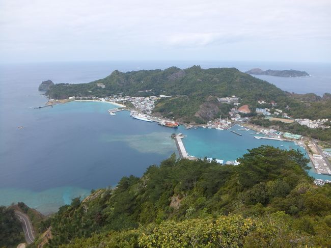 東京の南のはて  冬（気分は夏）の小笠原へ  　父島・南島編