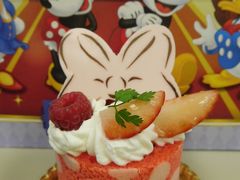 ２０１６【年パス日記】その２６　大晦日、青く輝くリドアイル☆