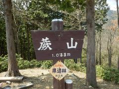 野花を見に蕨山に登りました