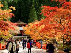 高野山の紅葉