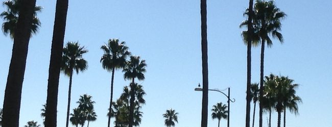 ロングビーチ 旅行 クチコミガイド フォートラベル アメリカ Long Beach