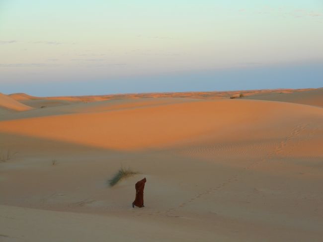 2016年11～12月、初めての西アフリカはモーリタニア＝４（砂漠の夕陽）