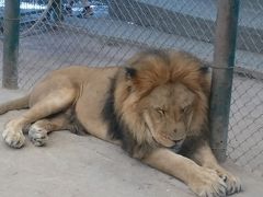 アルゼンチン縦断旅行その10－ルハン動物園