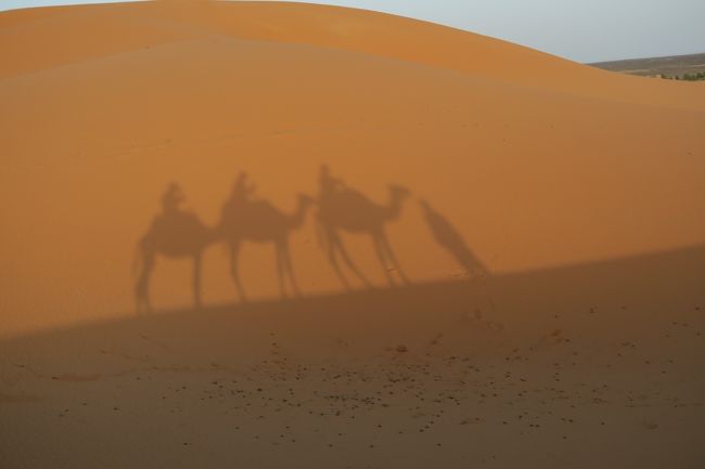 モロッコ周遊の旅<br />～ラバト～シャウエン～フェス～サハラ～マラケシュ～カサブランカ