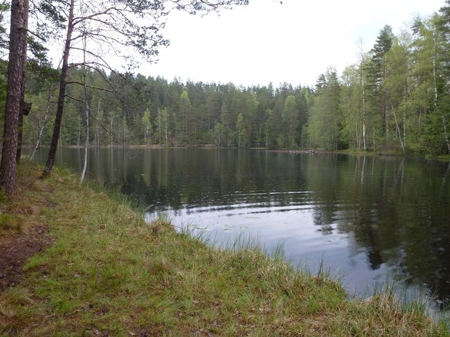 フィンランド旅行3日目<br /><br />本日の予定は午前中ヌークシオ国立公園の散策、午後は北欧デザインファクトリーめぐりとなっています。