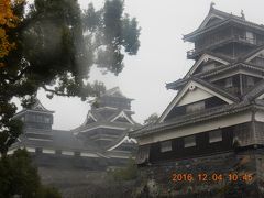 復興割で行く　初熊本！！飲んで食べて現地でお金使って復興支援してきました。予定通りになった祝勝会もあるよ！！２日目