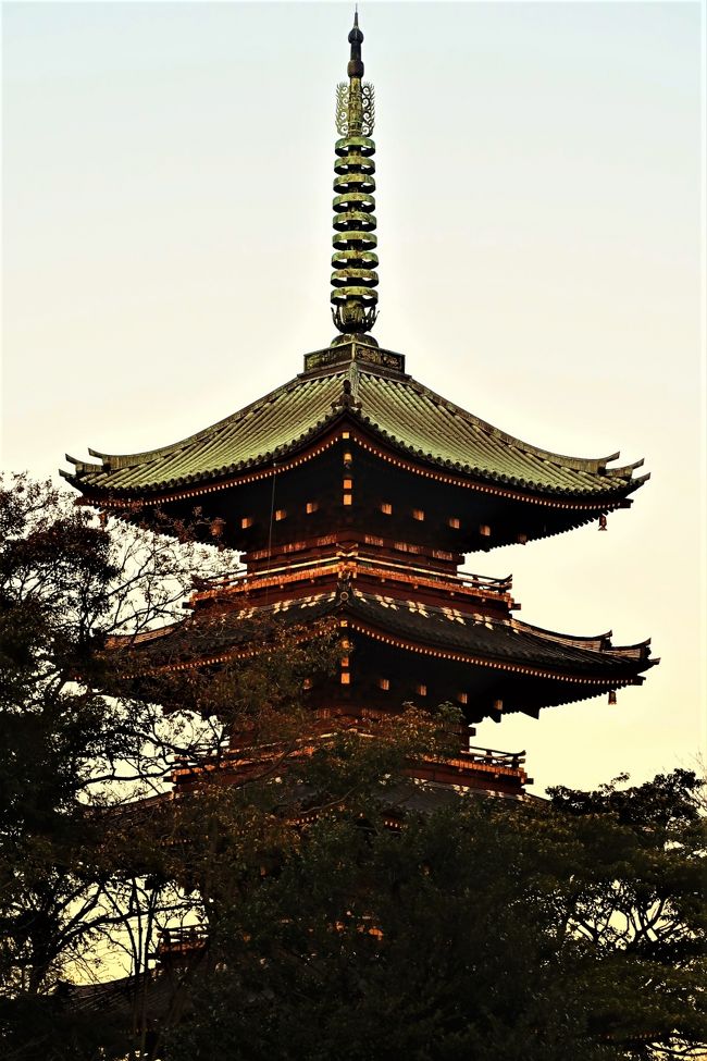 寛永寺（かんえいじ）は、東京都台東区上野桜木一丁目にある天台宗関東総本山の寺院。山号は東叡山（とうえいざん）。東叡山寛永寺円頓院と号する。開基（創立者）は徳川家光、開山（初代住職）は天海、本尊は薬師如来である。<br />寛永2年（1625年）、3代将軍徳川家光の時に今の東京国立博物館の敷地に本坊（貫主の住坊）が建立された。この年が寛永寺の創立年とされている。当時の年号をとって寺号を「寛永寺」とし、京の都の鬼門（北東）を守る比叡山に対して、「東の比叡山」という意味で山号を「東叡山」とした。<br /><br />徳川将軍家の祈祷所・菩提寺であり、徳川歴代将軍15人のうち6人が寛永寺に眠る。17世紀半ばからは皇族が歴代住職を務め、日光山、比叡山をも管轄する天台宗の本山として近世には強大な権勢を誇ったが、慶応4年（1868年）の上野戦争で主要伽藍を焼失した。上野戦争で焼け残り、第二次世界大戦の戦災もまぬがれたいくつかの古建築は、上野公園内の各所に点在している。<br />現存する伽藍<br />本堂（根本中堂）－東京芸術大学音楽学部の裏手にある。上野公園内の清水堂、弁天堂などのにぎわいに比し、本堂周辺は訪れる人もまばらである。現在の堂は、寛永寺の子院・大慈院のあった敷地に、明治12年（1879年）、川越喜多院の本地堂を移築したもので、寛永寺本来の建物ではない。内陣には厨子内に秘仏本尊薬師三尊像を安置する（堂内は非公開）。<br />旧本坊表門（重要文化財）（位置）－通称黒門。東京国立博物館東側の輪王寺にある。寛永年間の建造物で、もとは、現在の東京国立博物館正門の位置にあった。<br />清水観音堂（重要文化財）（位置）－上野公園内、西郷隆盛銅像の近くにあり、千手観音を祀る。寛永8年（1631年）の建築。規模は小さいとはいえ、京都の清水寺本堂と同様の懸造（かけづくり）建築である。<br />弁天堂（位置）－上野公園南側にある不忍池の中之島に天海が琵琶湖の竹生島の宝厳寺の弁才天を勧請して建立。昭和33年（1958年）に鉄筋コンクリート造の八角堂として再建された。<br />旧寛永寺五重塔（重要文化財）（位置）－寛永8年（1631年）建立の初代の塔が寛永16年（1639年）に焼失した後、同年ただちに下総・古河城主　土井利勝によって再建された。塔は旧境内地を使って作られた恩賜上野動物園の園内に位置しており、1958年に寛永寺が東京都に寄付したため、現在の所有者は東京都になっている（名称に「旧」とつくのはそのため）。塔の初重に安置されていた釈迦如来・薬師如来・弥勒菩薩・阿弥陀<br />（フリー百科事典『ウィキペディア（Wikipedia）』より引用）<br /><br />国立西洋美術館　については・・<br />http://www.nmwa.go.jp/jp/index.html<br /><br />国立西洋美術館<br />http://4travel.jp/travelogue/10374606<br />ぼたん苑<br />http://4travel.jp/travelogue/10422255<br />http://4travel.jp/travelogue/10051190<br /><br />上野東照宮<br />http://4travel.jp/travelogue/10021138<br /><br />