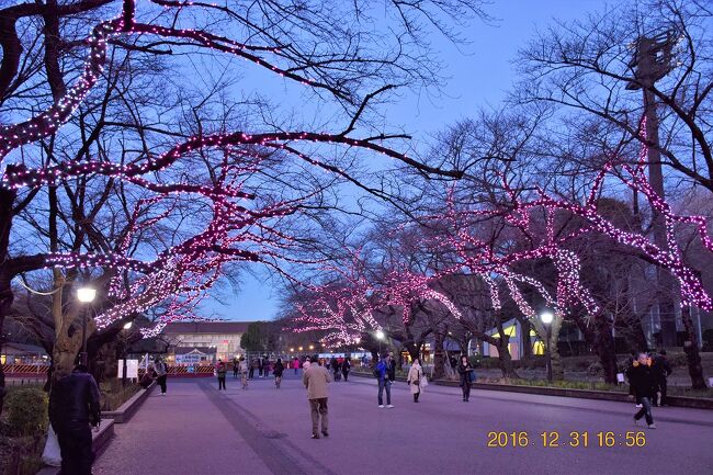 2016年大晦日、今年1年もあっという間の最終日。<br /><br />カウントダウンなどで街へ繰り出す人も多いとは思いますが、年末年始は帰省せず留まることにしましたので、この連休を利用して人が少なくなった都内へ今年最後の繰り出ししました。<br /><br />…と言ってもアメ横はすんごい人でしたけど(笑)<br /><br />春に賑わう桜並木100本に10万球のLEDが点灯します。<br />開催は1/15までですので春の桜のシーズンとは違った上野の桜並木を見るのも良いかと思います。<br /><br />■上野恩賜公園冬桜イルミネーション<br />開催期間：2016年10月21日(金) ～2017年1月15日(日)<br />点灯時間：16:30～20:00<br /><br />http://ueno.or.jp/illumi/index.html<br /><br />■桜咲く春の上野恩賜公園散策旅行記<br />【東京散策19】 上野恩賜公園を散策しました<br />http://4travel.jp/travelogue/10991205<br /><br />