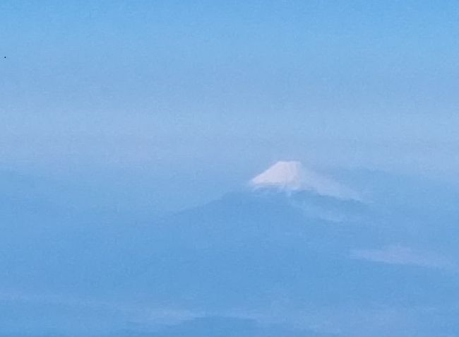 初日の出を見に飛行機に乗りました。どこ行きでもよかったんですが飛行距離が長いこと、富士山を見られること、始発の時間が早いこと、帰りの便数が多く便利なことなどから沖縄行きを選択しました。<br />日帰り旅行だったんですがなかなか楽しめました。<br />JAL便でもウルトラ先得で 片道9,900円。<br />うまいこと初日の出がみられ、富士山もみられ初詣もできてとてもお得でした。