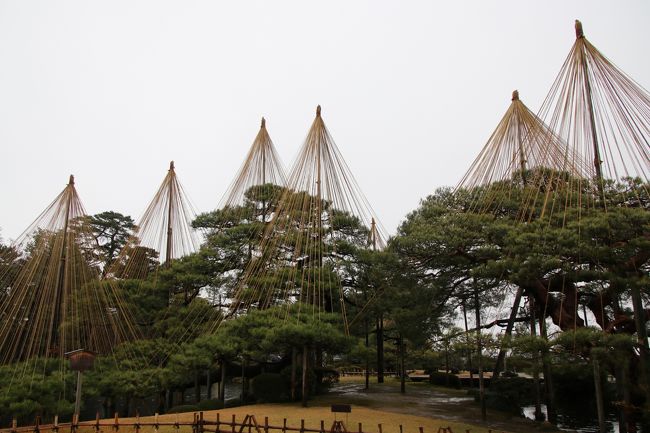 この旅行記、作成途中でそのままにしていて、一部思い出しながらの備忘録で２０１８.1.14からの参考用のアップです<br /><br />ある日の「近畿日本ツーリスト」から京都発着の「金沢フリープラン ２日間」が二人で１７，８００円（一人８，９００円）のメールが届き、雪の金沢の下見がてら、久々行ってもと思い、早速申し込むことに<br /><br />往復のサンダーバードの時間選択ができるのとホテルは「ホテル金沢」と「金沢都ホテル」の選択と部屋も指定可能で、申し込んだのは「ホテル金沢」で、食事なし、バス・トイレ付/ツイン/禁煙/眺望指定なし/２９平米/２～３名の部屋<br /><br /><br />