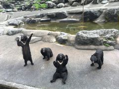 夏休みの終わりに長男・次女一家で平湯温泉と南木曽温泉に行ってきました。　熊牧場編