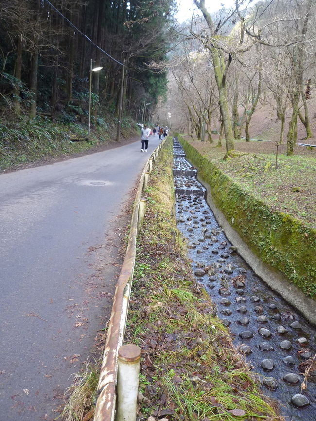 高尾山の麓を散策 2017/01/03<br /><br />今回は高尾山には登らず、妻と高尾山の麓を散策しました。<br />数多く、高尾山を訪れていますが、麓周辺の散策は久し振りでした。