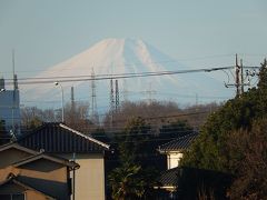 1月5日ふじみ野市から見られた富士山