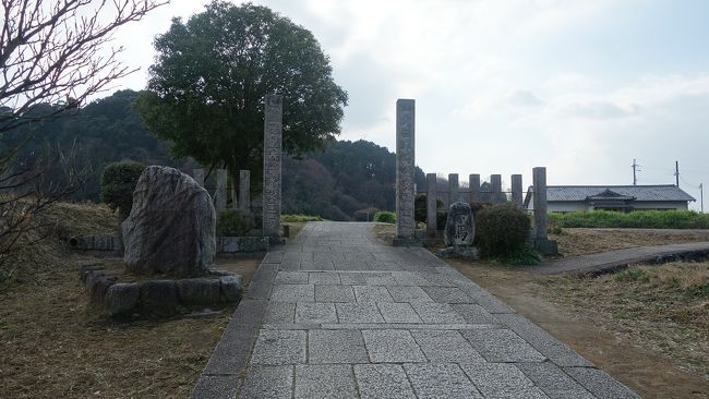 小春を通り越した様な、小夏日和に誘われ明日香路を銀輪散歩小旅行を。正月気分を維持したまま初夏のような陽気に誘われて、奈良とは行き先を決めたものの、当てもなくドライブ。着いたのが明日香村でありました。甘樫丘近くに車を止めてトレンクル(小径自転車の品名)を下ろします。愚妻はトレンクルより徒歩が良いと云いますので、本当の銀輪と散歩になりました。<br /> 駐車場から橘寺方向へ旧道を行きます。出荷し損ねたのでしょうか、葉ボタンが畑に残ります。川原寺跡と橘寺の間の県道155号を横切ると、聖徳太子が誕生したと記した石柱が建っています。これより橘寺の寺域と云うことでしょうか。寺の正面を背に右は「右近の橘」が、「左近の桜」よりはやや見劣りしますがこの寺に在ってこそです。勅命を受けた田道間守が持ち帰った苗(種説もあり)が、この地で芽吹きミカンの原種となったと云います。<br /> 太子縁の寺の奥を走る水路沿いに、石舞台方向へ進みます。ここでは、既に収穫の終わった苺の苗床が、盛りの頃は道端で売られています。水路脇で何やら小さな実を見付けました。よく判らないので、ご存じの方にはご教示をお願いして先へ進みましょう。良く工夫された水路の先には、道案内も国際的です。彼の国から教えていただいた文化ですから、道案内も当然でしょうか。<br /> 石舞台公園を横切って、明日香村役場の前から飛鳥川沿いを下ります。正面に飛鳥寺、左に甘樫丘を眺めるお気に入りの場所です。次の飛鳥橋で左に曲がると、車を置いた駐車場に戻ります。適度な距離とアップダウン、この位で銀輪と散歩のお開きに。帰宅途中昼食に適当な店を探しますが、何処も長い列に諦めてコンビニお握りとしました。