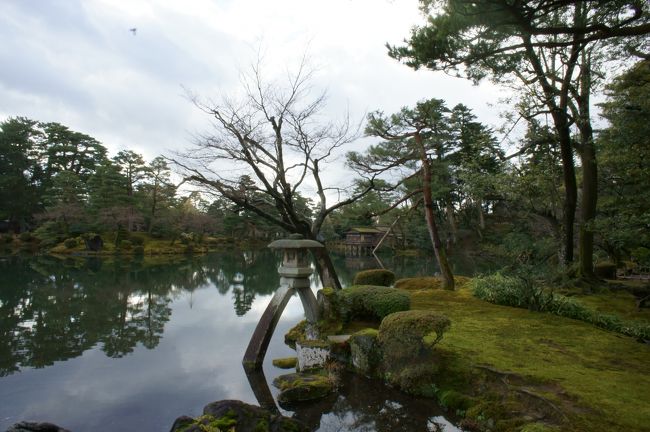 以前テレビで金沢城の水は高低差で兼六園から引かれていると知り、ちょっと気になっていたので見に来ました。<br /><br />犀川上流で取水された水は辰巳用水を11Km通って兼六園東側に出てから曲水を成し園内を流れ、この大きな霞ヶ池に注いでいるそうですので庭園以外に溜池みたいな役割もあるんでしょうか。<br /><br />兼六園の写真といったらよく見る徽軫灯籠があるこの辺りが一番見学者が多く他の観光地と同じくアジア系外国人もたくさんいましたが、普段は要る入園料310円が年末年始で無料の割には混んではいなかった。