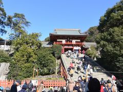 初詣に出掛けた鎌倉では、もう梅の花が咲き始めていました♪