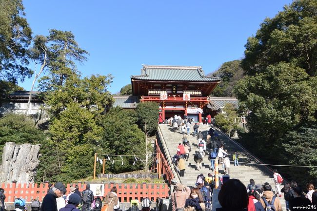 新年明けましておめでとうございます。今年も宜しくお願いします。<br />穏やかな正月三が日も過ぎ、そろそろ活動を開始せねばと思い、鎌倉へ初詣に出掛けました。<br />お馴染みの社寺をお詣しましたが、もう梅の花が咲き始めていました。