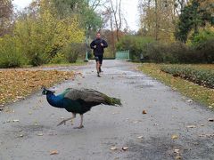 チェコの世界遺産をぐるっと車で巡る旅　その５　クロムニェジーシュ