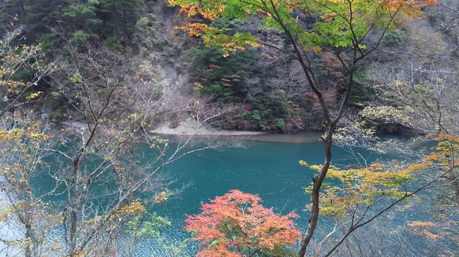 静岡県の山奥に紅葉の名所「寸又峡」があります。<br />「死ぬまでに渡りたい世界の徒歩吊り橋10」に選ばれた「夢の吊り橋」もかかっていて、下には美しいブルーのダム湖があり、とてもきれいな場所なんです。<br /><br />といっても、10年くらい前に寸又峡に行った時は台風直後で湖は濁り、紅葉もぶっ飛び、<br />まだ美しいブルーの寸又峡はお目にかかったことないんですけどね。<br />やっとリベンジです！<br /><br />その時に行って良かったのが、寸又峡温泉。<br />美女づくりの湯と呼ばれています。<br />ヌルヌルしたようなとろみのあるお湯で、湯上がりはお肌ツルツル。家がもうちょっと近かったら通いたい温泉です。<br />今回も、もちろん温泉も楽しんできました。<br />