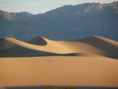 ラスベガス・デスバレー ⑤ 砂丘の朝  Mesquite Flat Sand Dunes