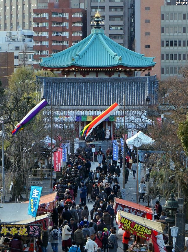 　2017年穏やかな正月を迎えて居ります。<br />今年は義母の喪中である為、神社は避けお寺への初詣、元日二日は地元世田谷のお寺巡り、3日は範囲を広げ都内へ進出、午後から上野寛永寺に出掛けます。<br />　何故寛永寺かというと、上野西洋美術館でクラーナハ大回顧展が開催中で、あの魅惑的な筆使いの実物をこの目で確かめたい為です。<br />　どちらが本命かは判りませんが、寛永寺から回ります。<br /><br />　表紙は寛永寺弁天堂、3日ですが参拝客が行列しています。