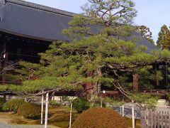 新春京都、奈良にも足を延ばす旅１