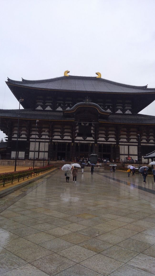 毎年お馴染み、成人の日の三連休に京都に行ってきました。<br />雨に降られましたが、今回は奈良にも足を延ばして、歴史散策を楽しんできました。<br />その記録です。