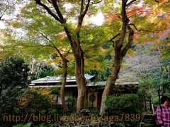 #314　2016年12月4日　鎌倉　瑞泉寺（花寺）　もみじ狩りぃ・・・・昨年のが残ってるんで　ごめんね・・・（笑　荏柄天神社→鎌倉宮の続きです　おまけに『亀ガ渕公園』『ヶ』じゃなくて『ガ』を使ってるのは？　何故でしょ