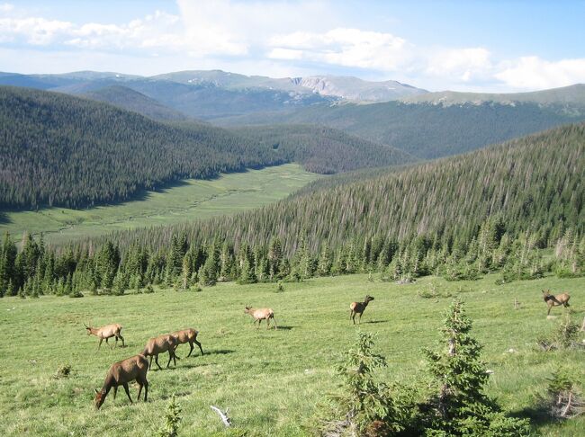 アメリカ縦横断《3》～Rocky Mountain National Park～