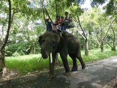 夏休み家族旅行4日目その3