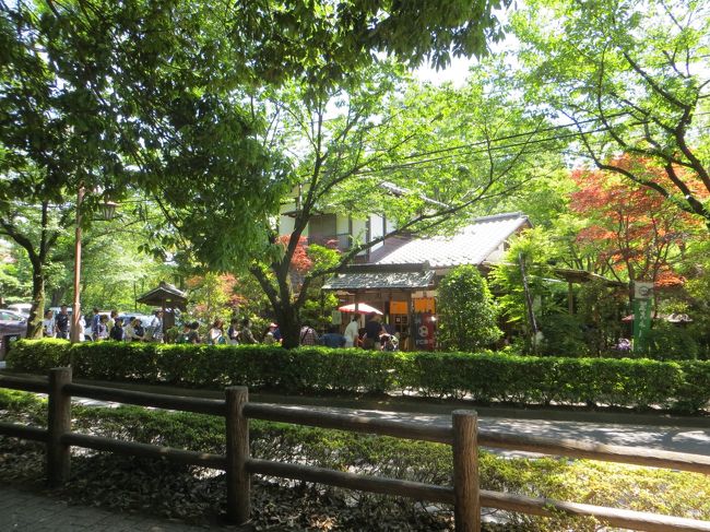 天台宗別格本山　浮岳山昌楽院深大寺<br /><br />なんていう本当の名前はあまり知られていませんが<br />昔から　深大寺は有名なお寺です<br /><br />理由はお蕎麦でしょうか？<br />植物園も有名ですね<br /><br />NHKの朝ドラ「ゲゲゲの女房」で取り上げられてからは<br />再度脚光を浴びなおした感があります<br /><br />お蕎麦を食べに　行ってみました<br /><br />