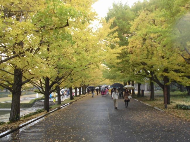 昭和記念公園に行って紅葉を見てきました