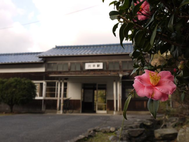 ※これは、ローカルな駅に特に何の用事もなく訪れることを目的にした旅行記です。<br />ーーーーーーーーーーーーーーーーーーーーーーーーーーーー<br /><br />始発から三江線を乗り倒すというとても楽しい旅をしてた。<br />午前中は天空の駅・宇都井駅と秘境駅・長谷駅がメイン。<br />お昼は沿線でも大きな町の石見川本と江津本町を散策。<br /><br />さて、後半戦です。<br />三江線には沢山の素敵な古い駅舎が残ってるらしい。<br />それはぜひとも行かなきゃいけないなぁ♪<br />どこも惹かれたけど、厳選して川平駅と因原駅へ。<br /><br />暗くなるまで乗り倒して、本日のゴールは終点の江津駅!<br /><br />・・・・・でも途中からすごい頭痛が・・・(´Д⊂ヽ<br />おかげでもう一つ行こうと思った駅は諦めた;無念。。。<br /><br />