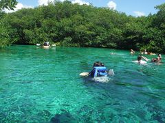 Hola hola hola hola Mexico!　（"Volumen cinco"　Vamos al segundo Cenote!）