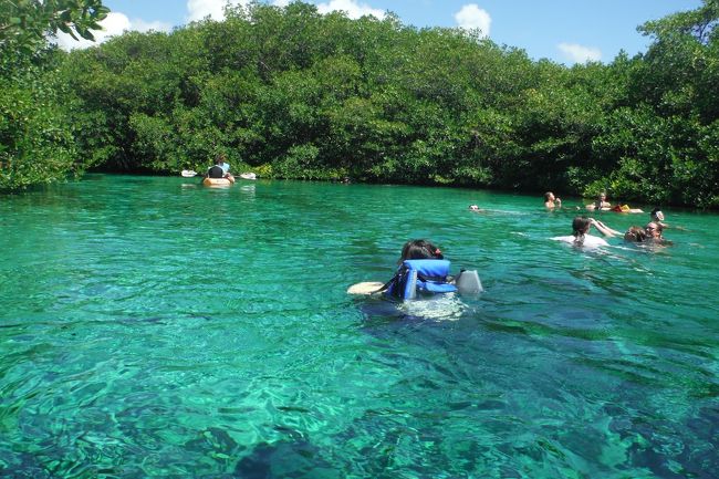 Hola hola hola hola Mexico!　（"Volumen cinco"　Vamos al segundo Cenote!）