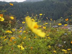 秋川渓谷日帰りの旅