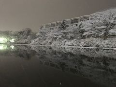 雪の秋田へ出張。